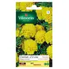 Image de Sachet Graines Oeillet D'inde Globe Citron