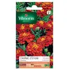 Image de Sachet Graines Oeillet D'inde Carmen