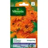 Image de Graines - Vilmorin - Souci Orange King