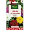 Image de Graines - Vilmorin - Zinnia à Fleur Monstrueuse
