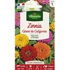 Image de Graines - Vilmorin - Zinnia géant de Californie mix