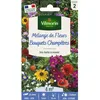 Image de Graines - Vilmorin - Bouquets Champêtres - 4 m² - Mélange de fleurs
