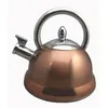 Image de Bouilloire Inox Coloris Cuivre 3l A Sifflet Baumalu - 342782