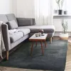 Image de Tapis à poils longs toucher laineux bleu cendré 120x170