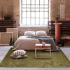 Image de Tapis lumineux vert rouillé 120x170