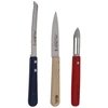 Image de Coffret 3 Couteaux De Cuisine Jean Dubost Cb10a250hc2364