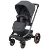 Image de MAXI COSI - Poussette Fame Twillic Graphite