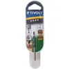 Image de Foret à bois - TIVOLY - SLR 3 pointes - 7 x 109 mm - Précision de perçage - Acier durable