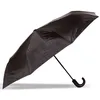 Image de Isotoner Parapluie crook pliant noir homme