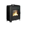 Image de Invicta - pôele à bois fonte 8kw noir p916244 - carolo P916244
