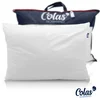 Image de Oreiller Colas Normand Anti-acariens Greenfirst® 45x70 Cm