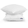Image de Lot de 2 Oreillers Moelleux   60x60 cm   Microfibre Douce   Fabriqué en France   Colas Normand