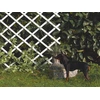 Image de Treillis Extensible En Pvc 1 X 2 M Blanc Treilliflex