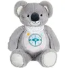 Image de Kwaly- Koala Conteur D'histoires - Peluche Qui Parle Interactive -version Française - 2 Heures De Contes Merveilleux