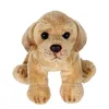 Image de Peluche - Peluche Floppipup labrador - 22 cm