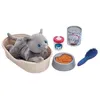 Image de Corbeille Chat