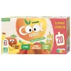 Image de Vitabio Cool Fruits Gourdes Multiparfums 4 Recettes Bio 20 x 90 g