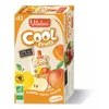 Image de Vitabio Cool Fruits La Pat Patrouille Pomme de France Pêche Abricot pack de 12