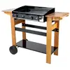 Image de Plancha à gaz ascain 2 feux 6kw - bois