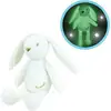 Image de Luminou Lapin Blanc Peluche Lumineuse Naturelle Fonctionne Sans Pile+/- 20 Cm