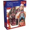 Image de Mgm - Explora - Anatomie Torse Humain - Expérience Anatomie