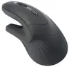 Image de Souris ergonomique WE 2-en-1 connexion BT + 2.4GHz 5 boutons et 1 molette DPI 800-1200-1600 noire 1 pile AA inclus