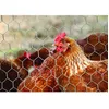 Image de Grillage pour animaux triple torsion gris - H.1.5 x L.5 m - maille H.13 x l.13 mm