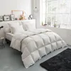 Image de DODO - Couette Thermoduv TEMPEREE - 70% Duvet dOie - 240 x 260 cm