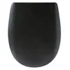 Image de Abattant WC Soft black mat