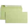 Image de Enveloppes pollen DL 120g vert bourgeon - x20
