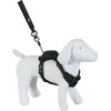 Image de Harnais et laisse enrouleur intégré - ZOLUX - XS - Noir - Pour petit chien 3-9 kg - Tour cou 26-38 cm
