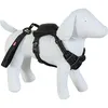 Image de Harnais et laisse enrouleur intégré S noir pour petit chien max 12 kg - zolux