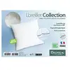 Image de Oreiller biotex collection 65x65