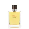 Image de Terre d'Hermès Eau Intense Vétiver - Eau de Parfum-100ml HERMÈS