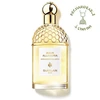 Image de Aqua Allegoria Bergamote Calabria - Eau de Toilette-125ml GUERLAIN
