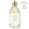 Image de Aqua Allegoria Herba Fresca - Eau de Toilette-125ml GUERLAIN