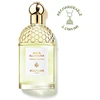 Image de Aqua Allegoria Nerolia Vetiver - Eau de Toilette-125ml GUERLAIN