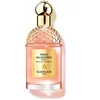 Image de Eau de Parfum AQUA ALLEGORIA FORTE ROSA PALISSANDRO edp vapo 75 ml