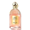 Image de Aqua Allegoria Forte - Rosa Palissandro - Eau de Parfum-75ml GUERLAIN