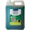 Image de Starol nettoyant assainissant pin - 5 L
