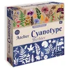 Image de Atelier Cyanotype Herbier