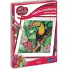 Image de Canevas A Diamenter Toucan Sentosphere Ser20280