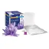 Image de Sentosphère Cristal Violet