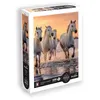 Image de Puzzle 500 pièces xl - chevaux en camargue