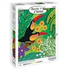 Image de Palette D'artiste - Les Toucans