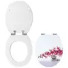 Image de Wirquin - Abattant Trendy Line Diplomat Zen