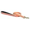Image de Laisse pour chien 3 positions Bobby Walk - beige - 2x100 cm