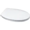 Image de Abattant de WC ROCK polypropylène Eco DUBOURGEL - ABRODBL