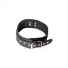 Image de Collier BDSM Mat