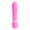 Image de Playful Mini Stimulateur Bullet